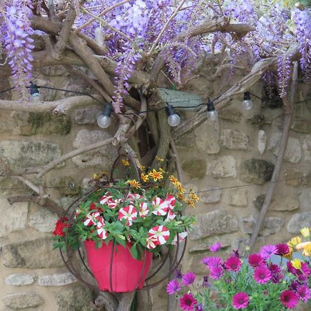 La Maison Wisteria Saint-Pantaléon-les-Vignes 외부 사진